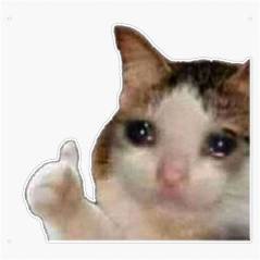 Sad Cat